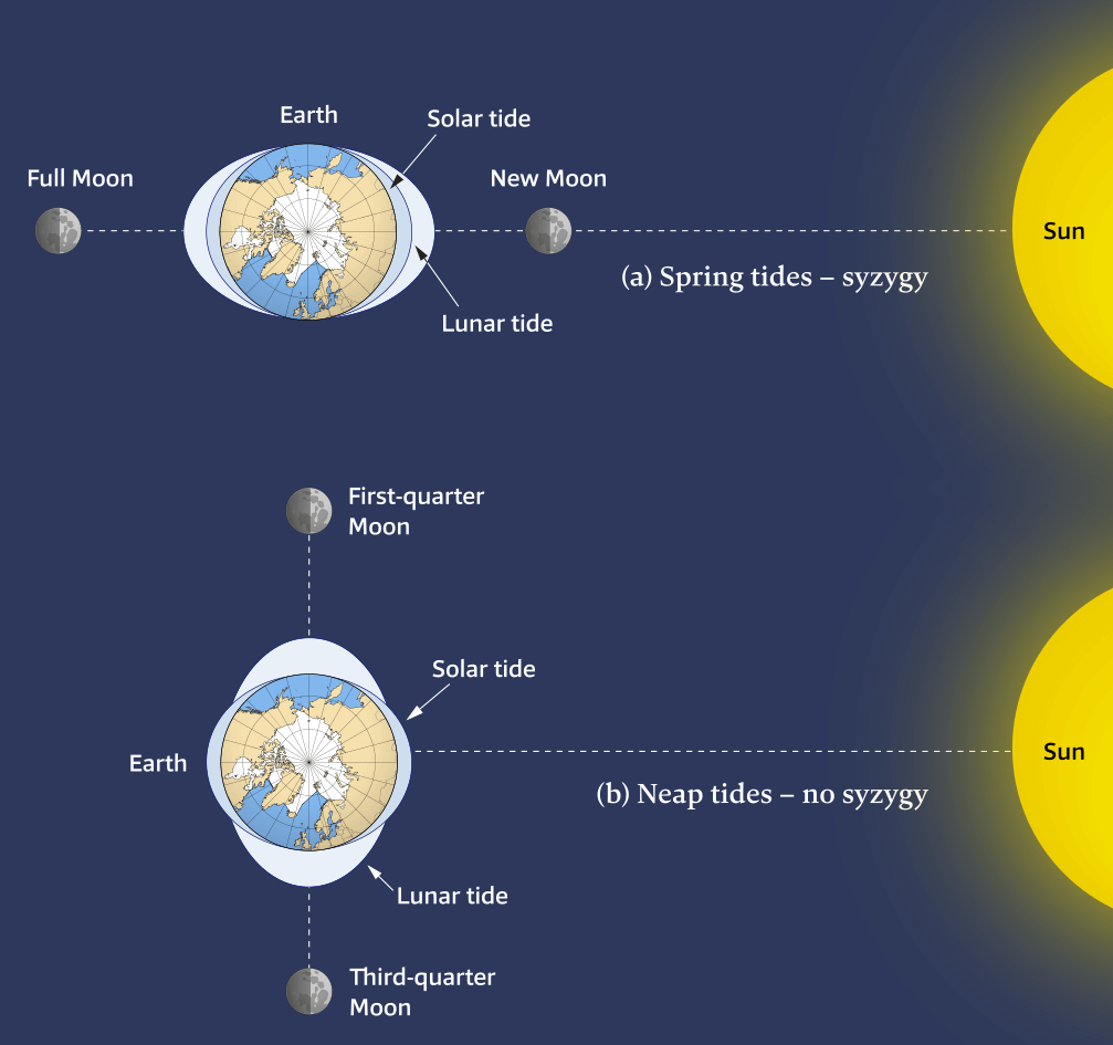 arth – Moon – Sun positions and the tides.