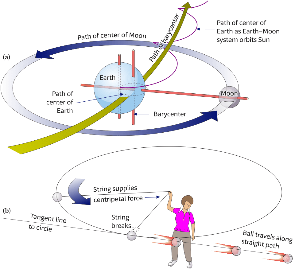 The barycenter orbits the Sun in a nearly circular orbit – explaining centripetal force.