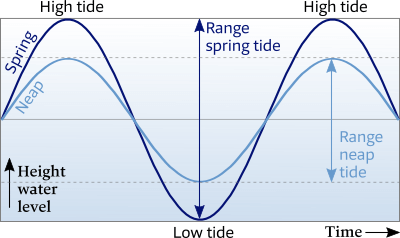 Tidal ranges - differences between neap tides and spring tides - graph