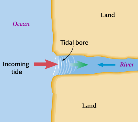 The formation of a tidal bore.