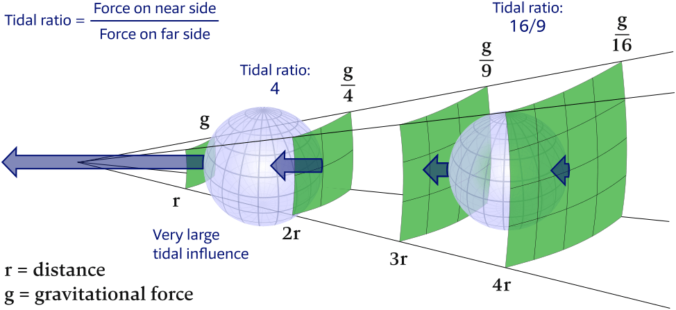 The tidal ratio of the force per unit mass on the near side compared to that on the far side is much larger for the closer object.