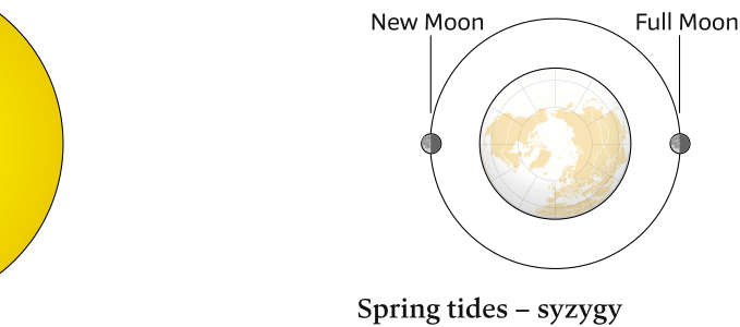 Spring tides
