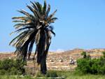 The lions terrace on Delos island