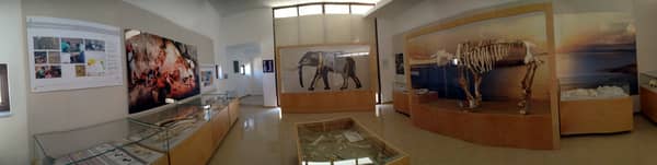 Tilos – the new Dwarf Elephant Museum at Charkadio.