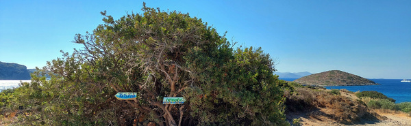 Lipsi sailing holidays in the Dodecanese