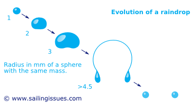 How rain drops and their shapes evolve